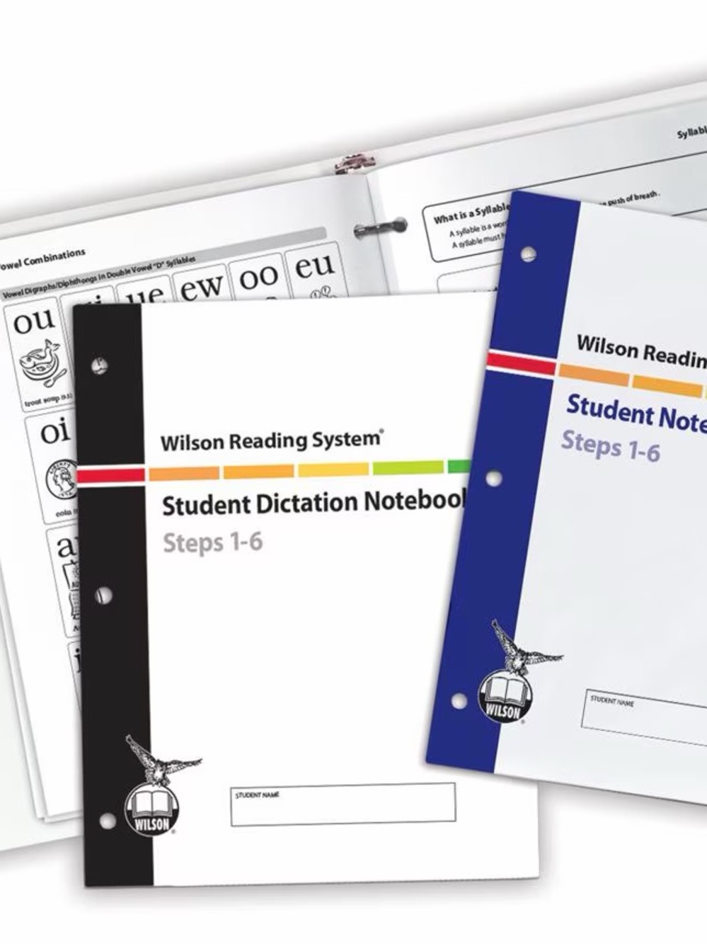 Student portfolio Steps 1-6